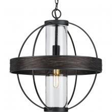 Progress P550111-31M - Terrace Collection  One-Light Matte Black Clear Seeded Glass Global Outdoor Hanging Light