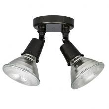 Capital 9502RZ - 2 Light Outdoor FloodLight