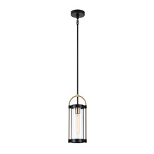 Artcraft AC11511BB - Bonita Collection 1-Light Pendant Black and Brushed Brass